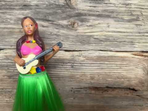 Hawaiian Hula Girl from Hula Girl Aloha vibes for your dashboard